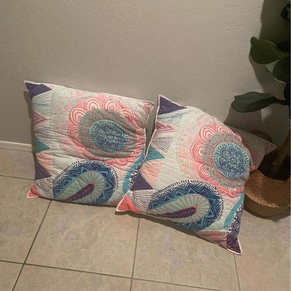 Pottery Barn Pillow Euro Sham (2)